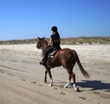 Outer Banks horse riding